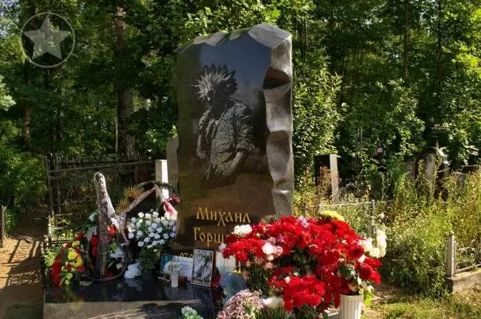 Причина смерти Михаила Горшенева